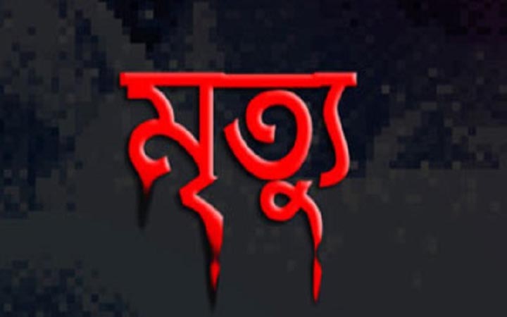 চুয়াডাঙ্গায় মেয়ের ধাক্কায় প্রাণ গেল বাবার